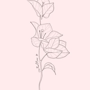 Bugambilia-2