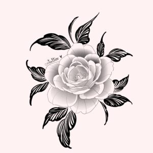 Camelia