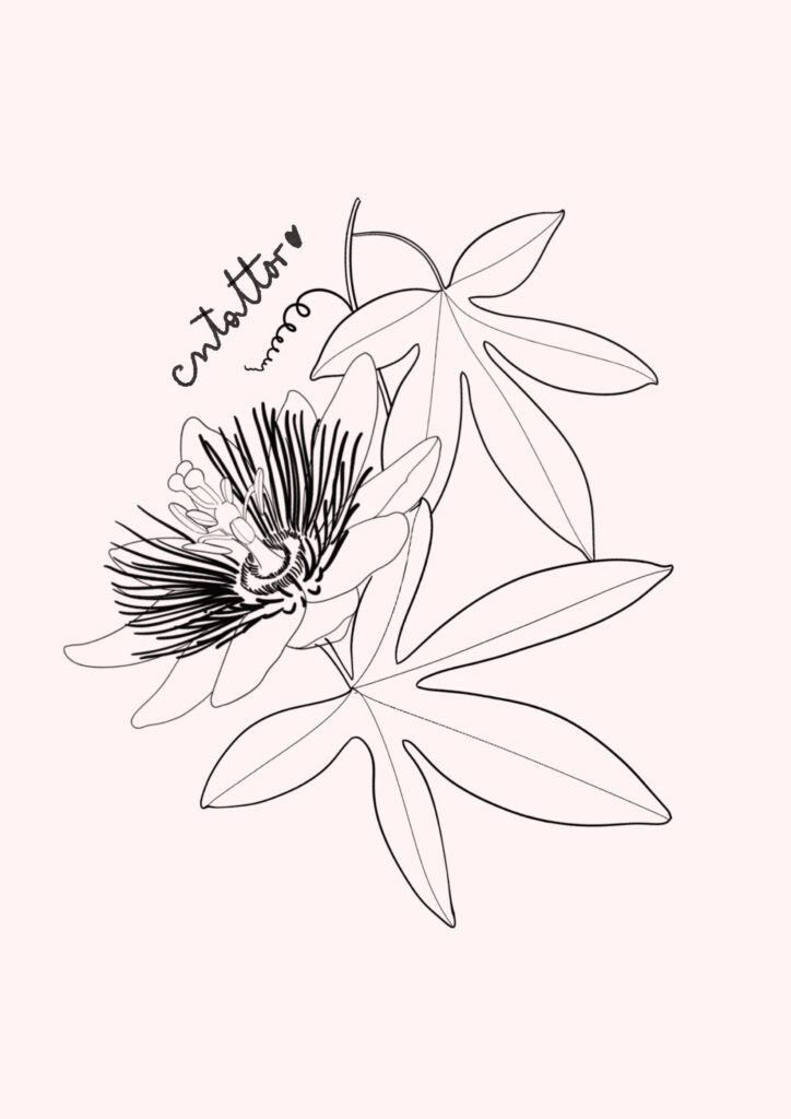 Passiflora-5