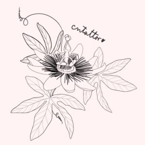Passiflora-4
