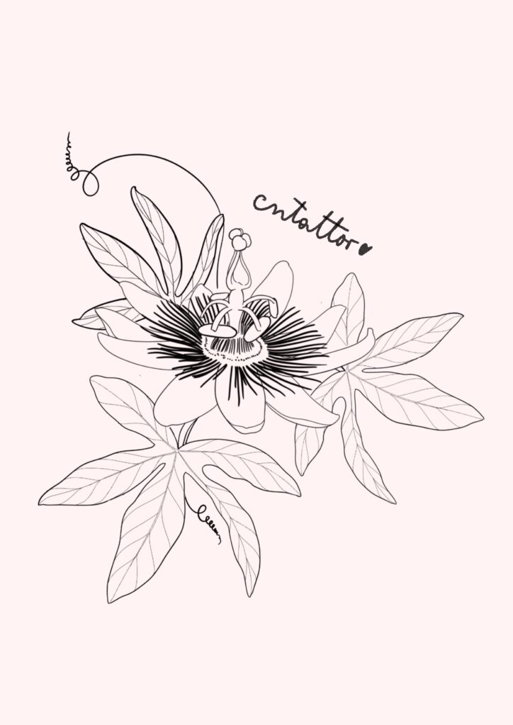 Passiflora-4