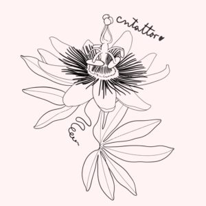 Passiflora-2