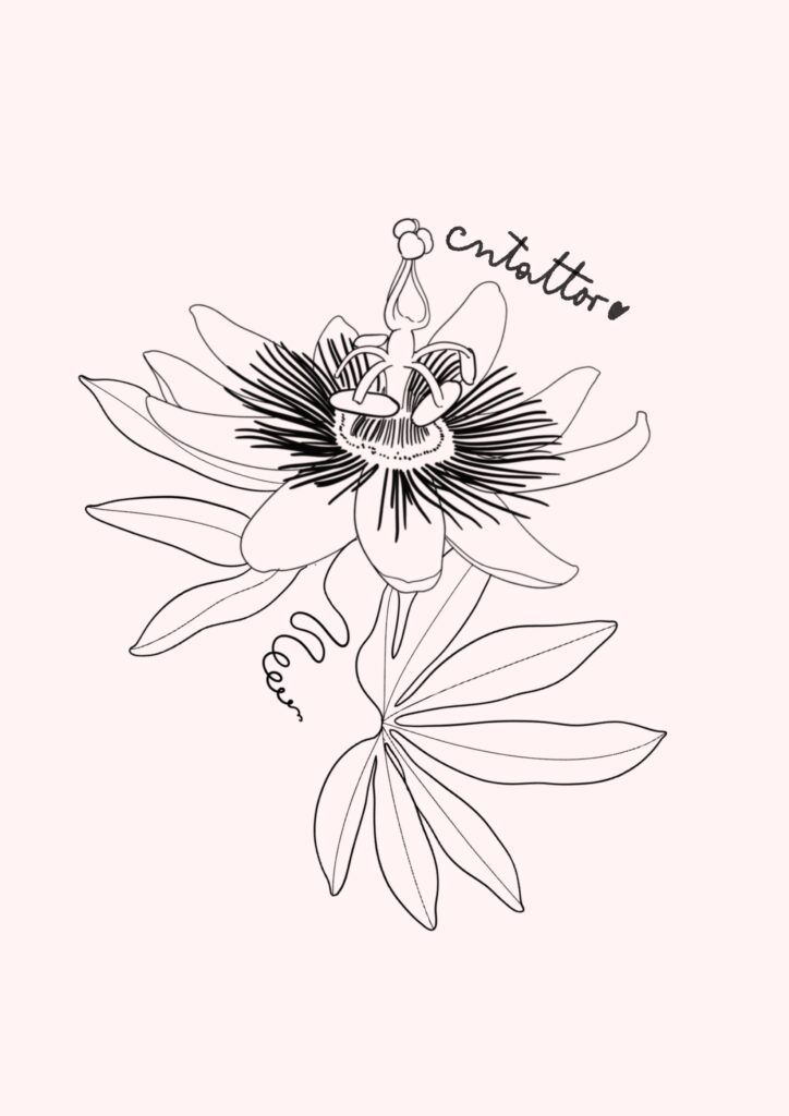 Passiflora-2