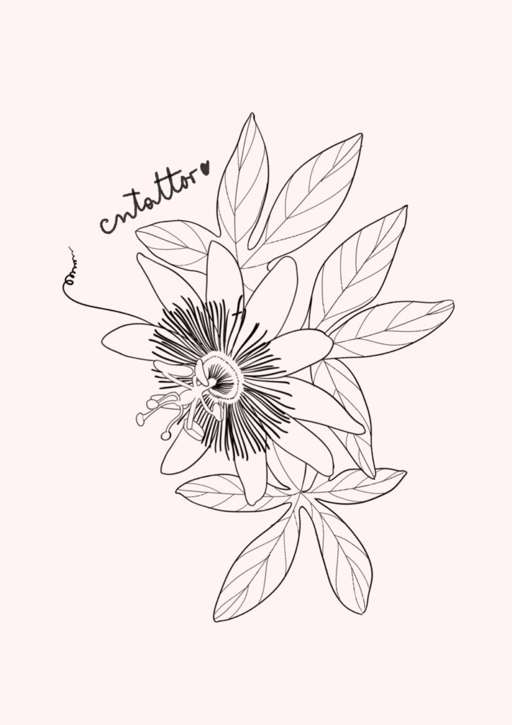 Passiflora-3