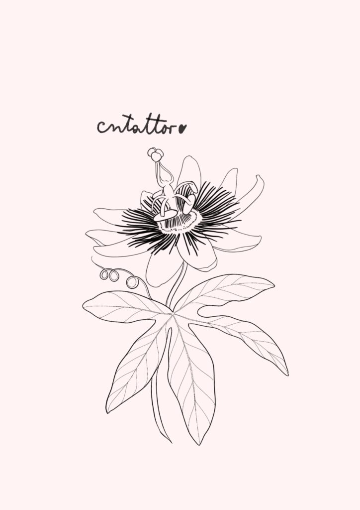 Passiflora-1