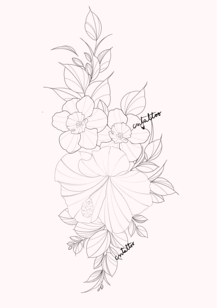 Hibisco