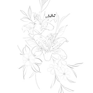 Flores