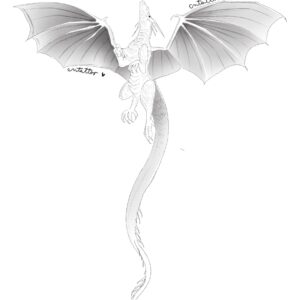 dragon -hasta 27cm-