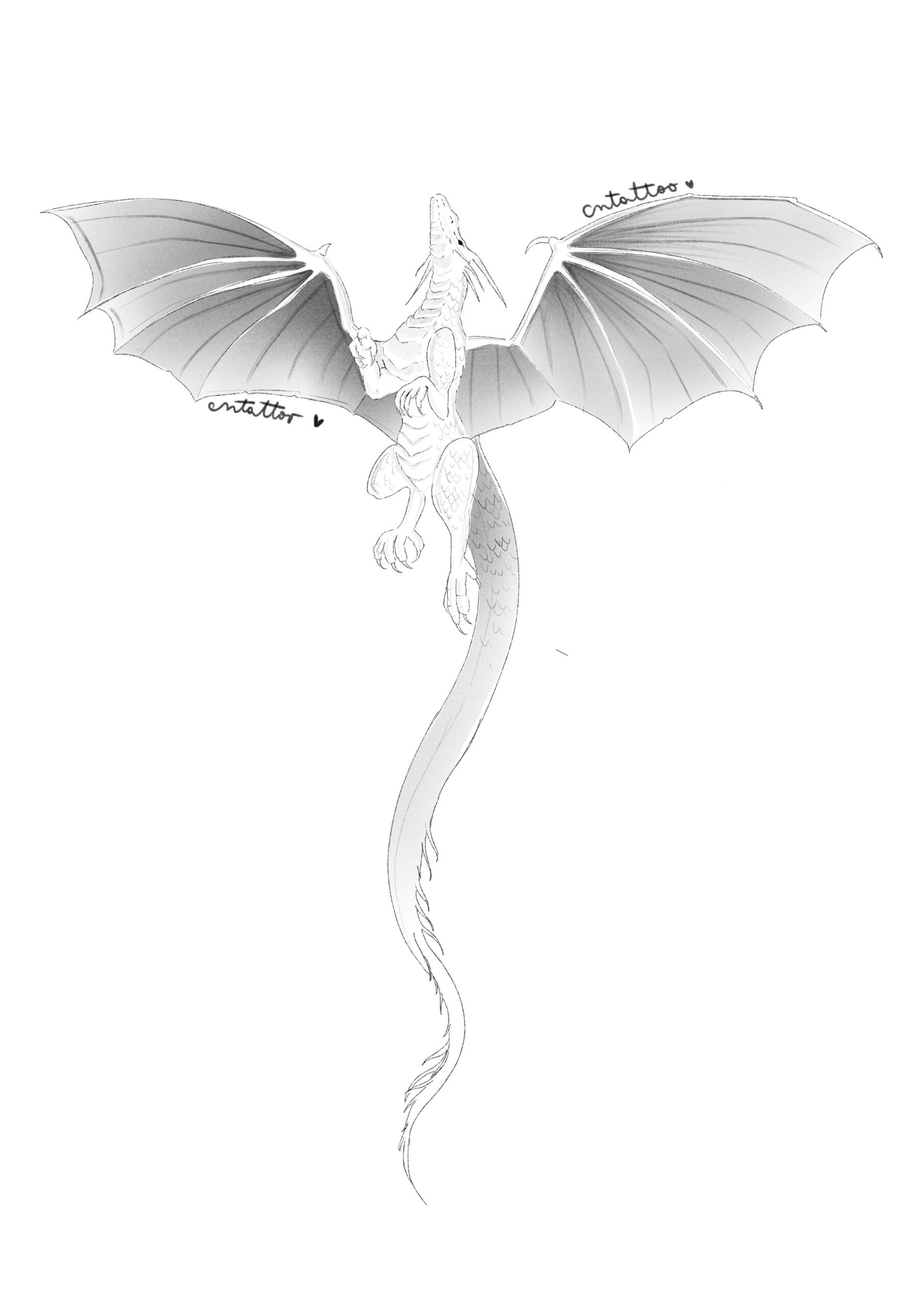 dragon -hasta 27cm-