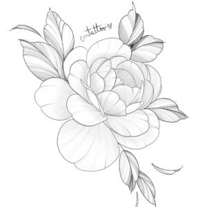 Camelia - hasta 16cm-