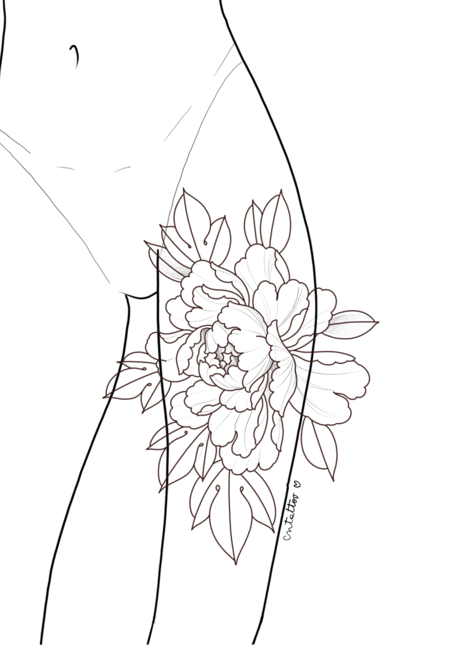 Peonia - Imagen 2