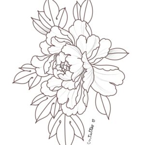 Peonia