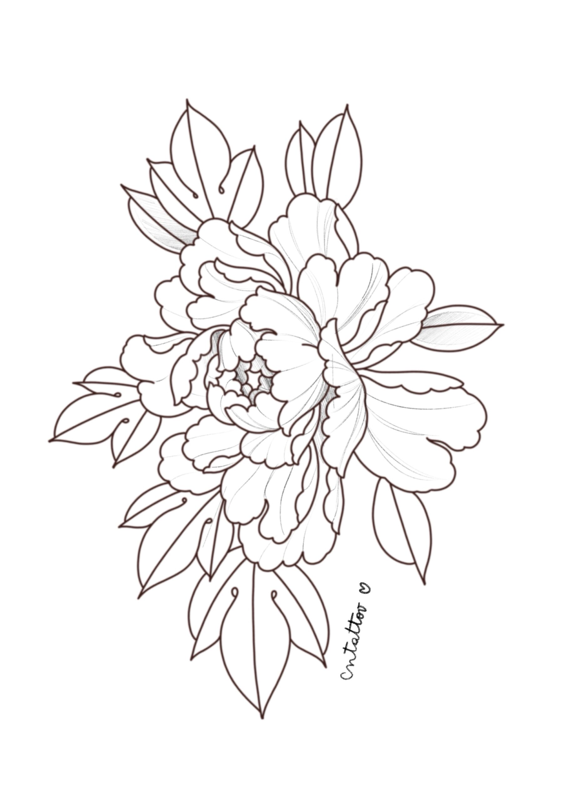 Peonia