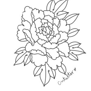 Flor-3