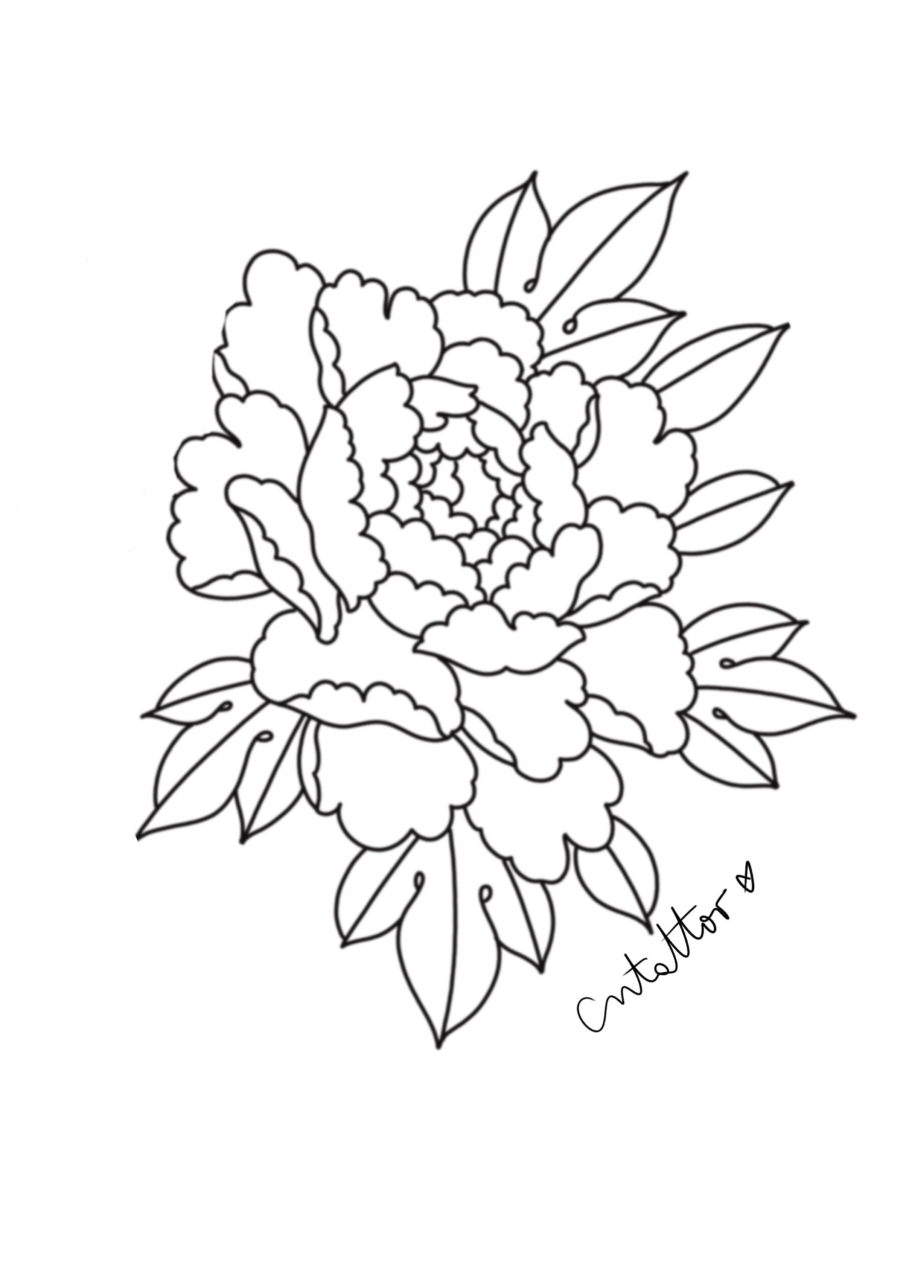 Flor-3