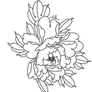 Flor-4