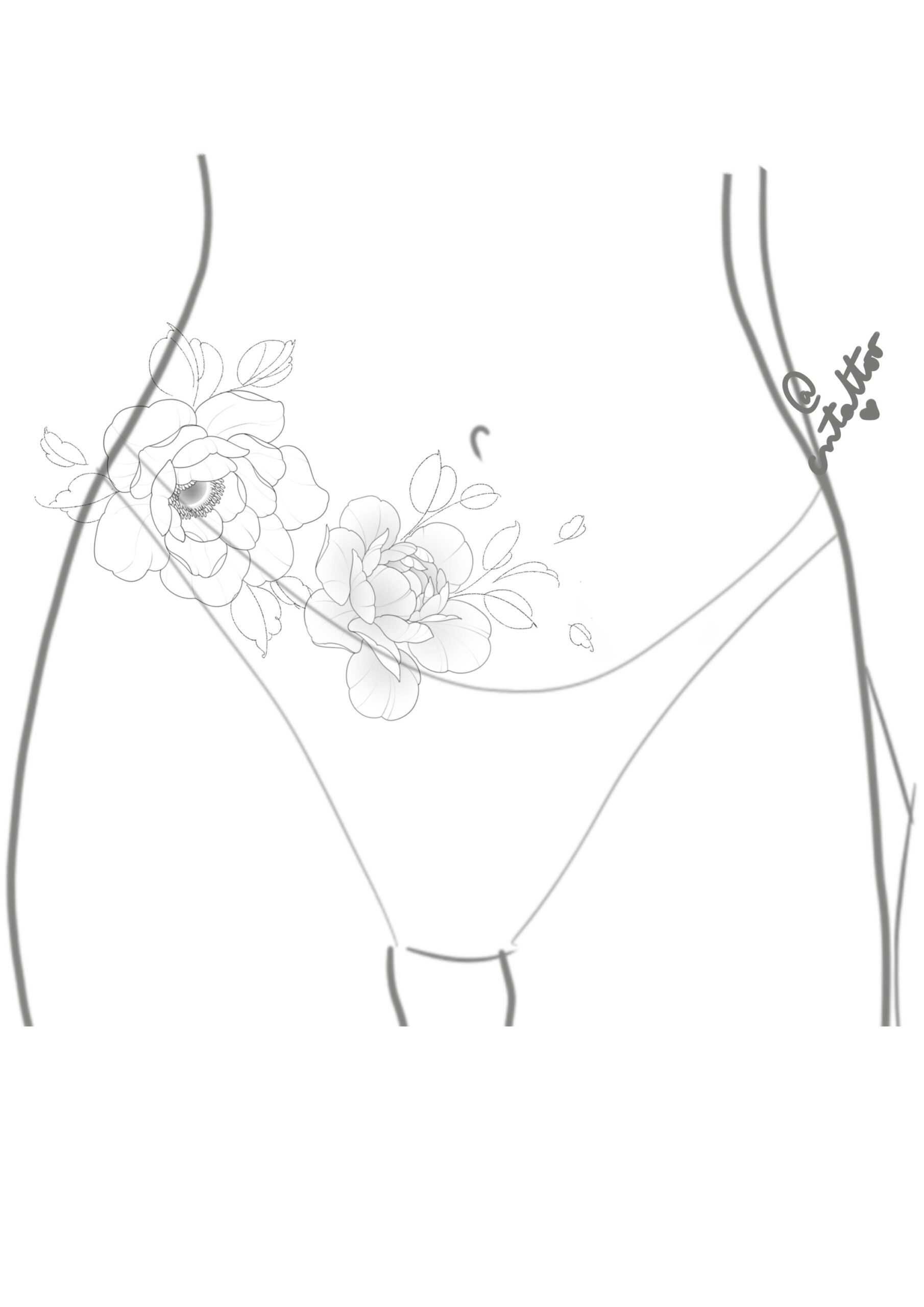 Proyecto abdomen-4