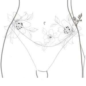 Proyecto abdomen-3