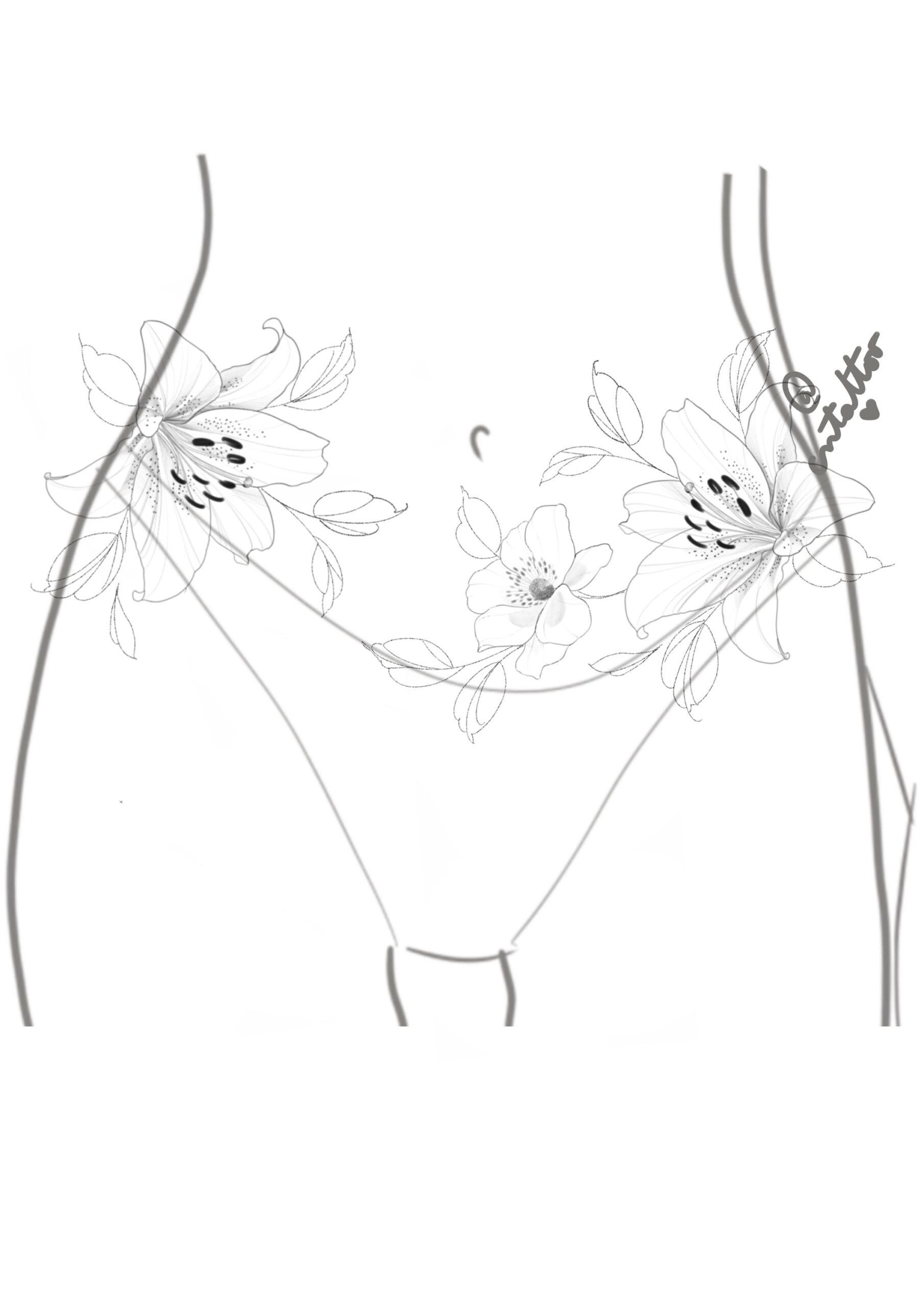 Proyecto abdomen-3