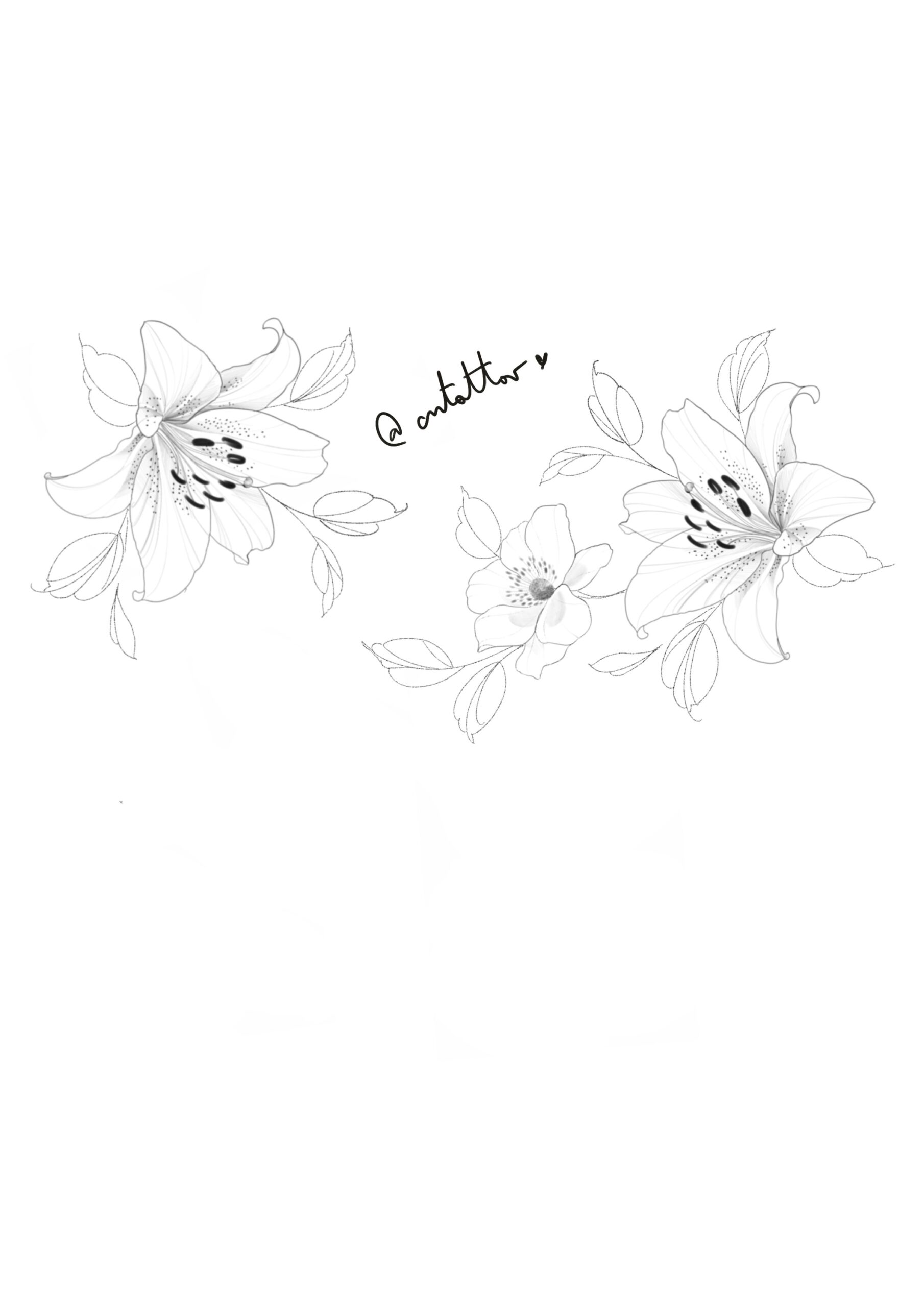 Proyecto abdomen-3 - Imagen 2