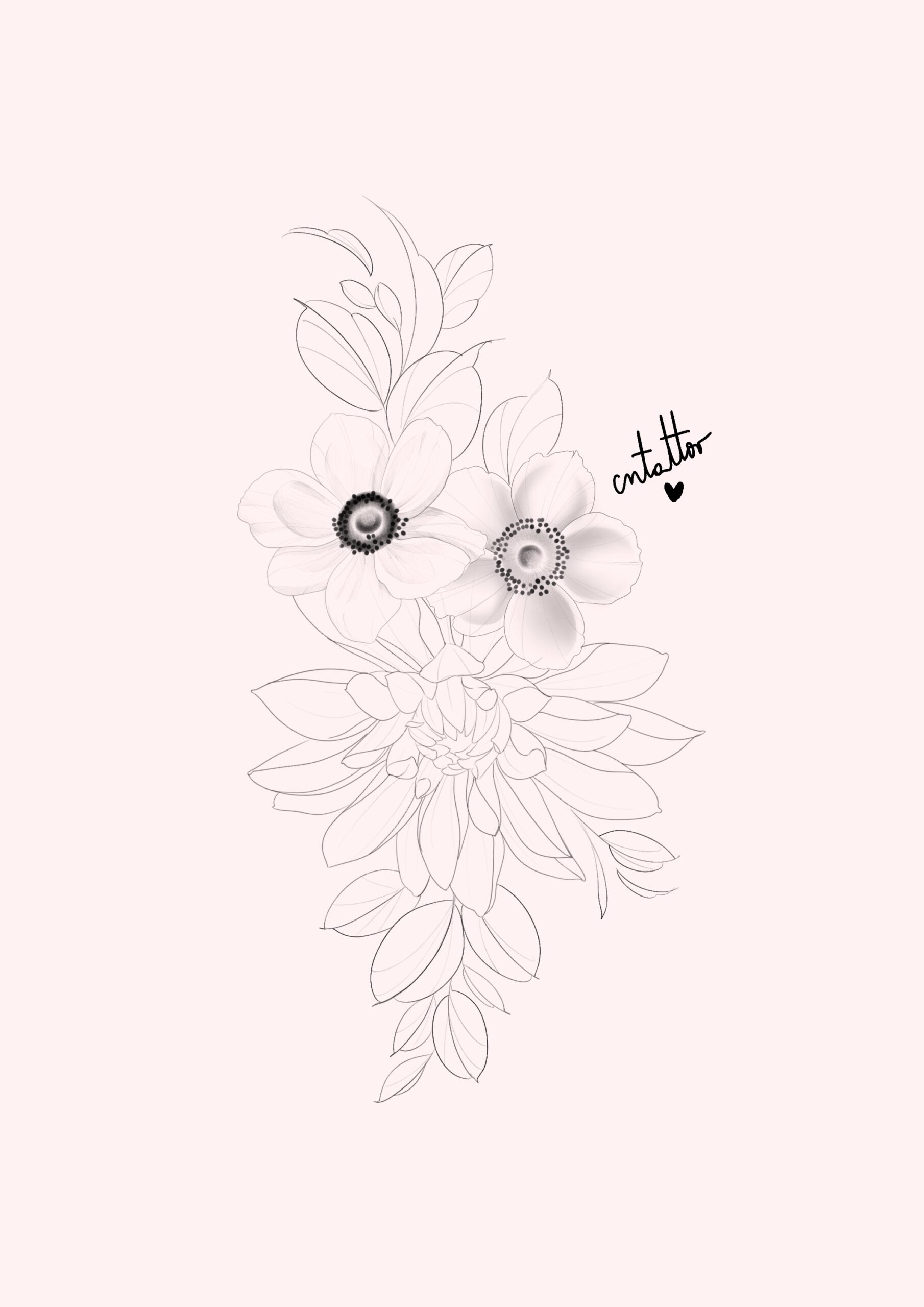 Flores -3