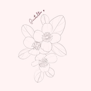 Flor de ulmo-2