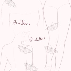 Mariposa-2