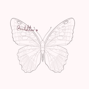 Mariposa-3